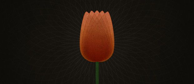 TULIP-and-Reformed-Theology_620